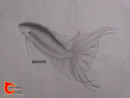 125016kzl6000606zn1g53.jpg