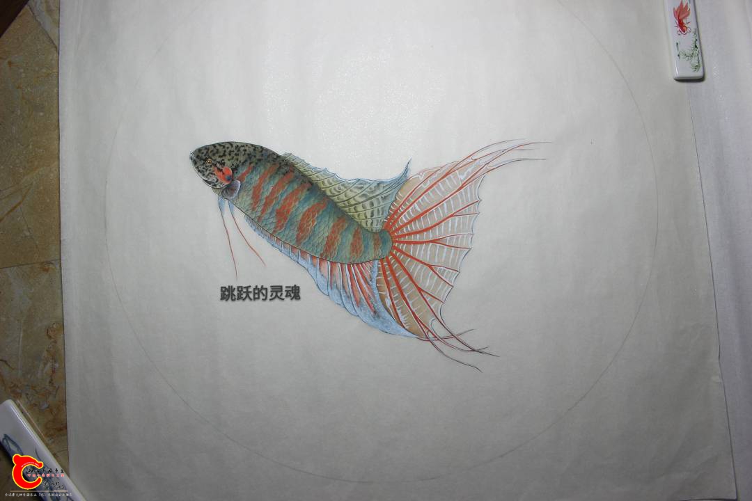 125018bjydr59cf8dqerno.jpg