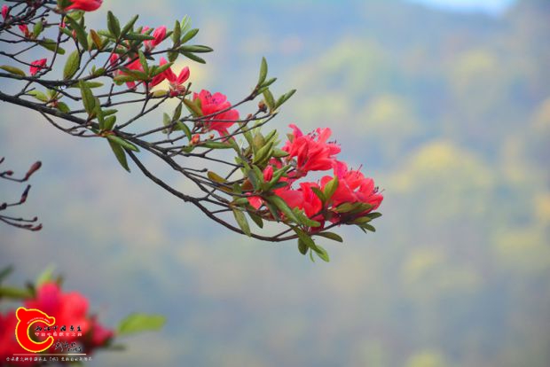 DSC_3854.JPG