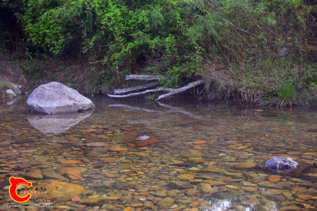DSC_3858.JPG