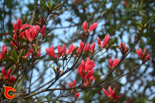 DSC_3859.JPG