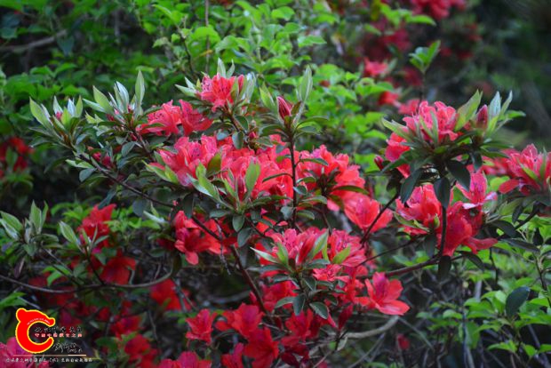 DSC_3861.JPG