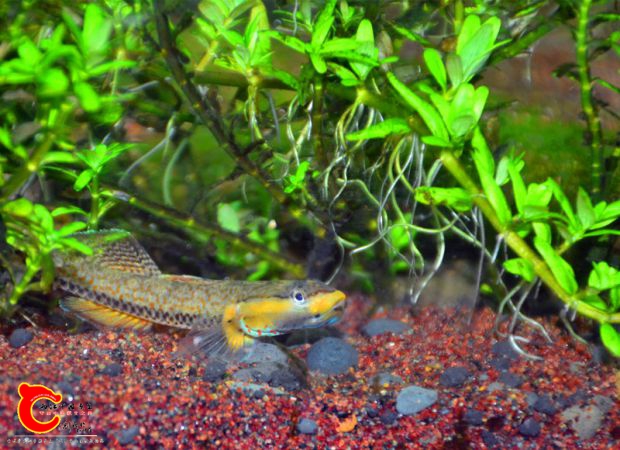DSC_3880.JPG