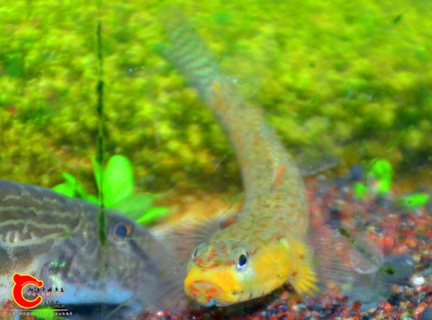 DSC_3883.JPG