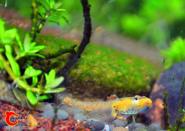 DSC_3888.JPG
