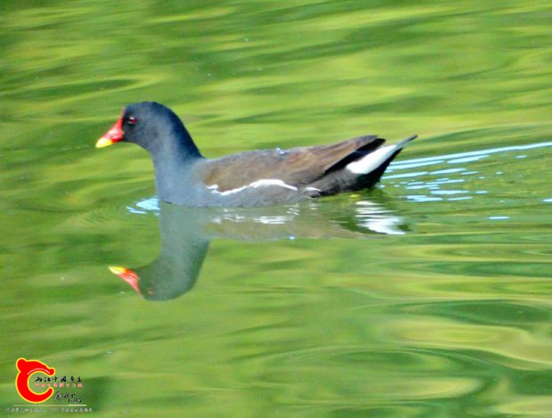 DSC00017_副本.jpg