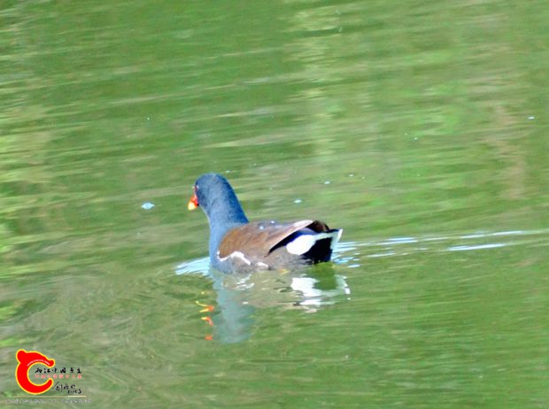 DSC00018_副本.jpg