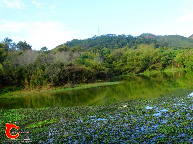 DSC00019_副本.jpg