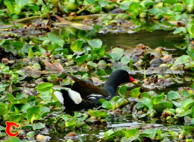 DSC00049_副本.jpg