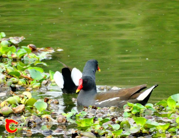 DSC00050_副本.jpg