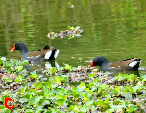 DSC00054_副本.jpg