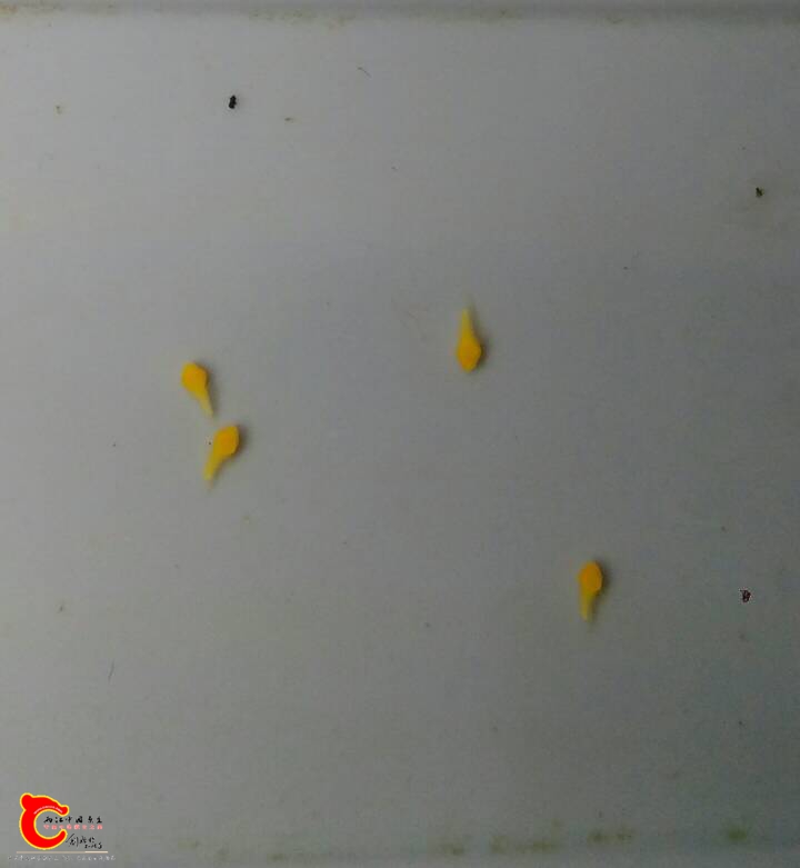 130141fx36axeazka5kaga.jpg