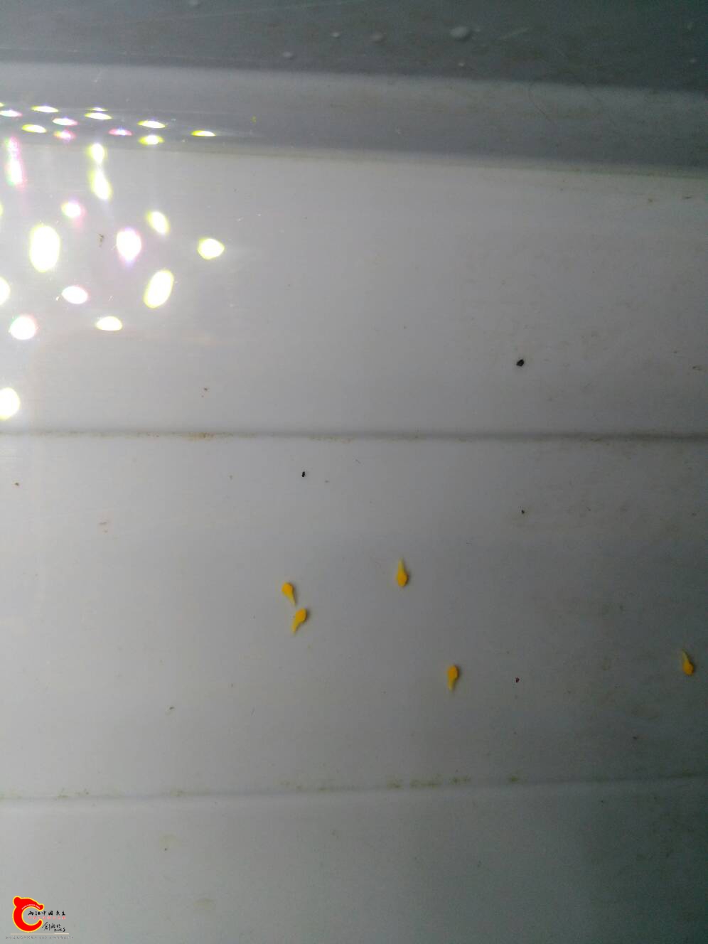 130141lgeqyl19lzclwic8.jpg