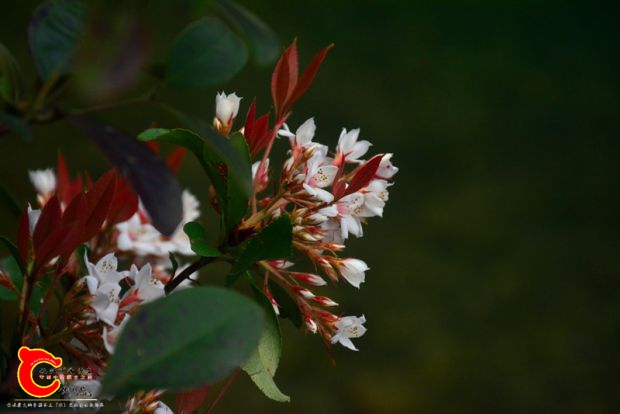 DSC_3917.JPG