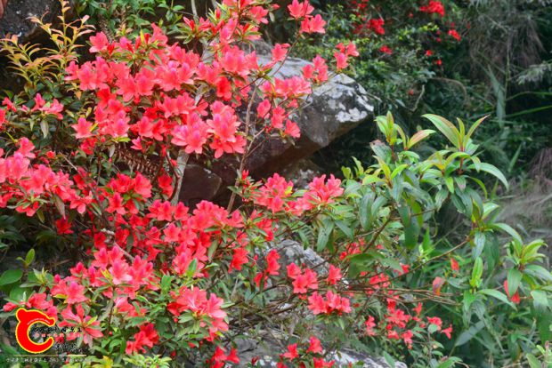 DSC_3920.JPG
