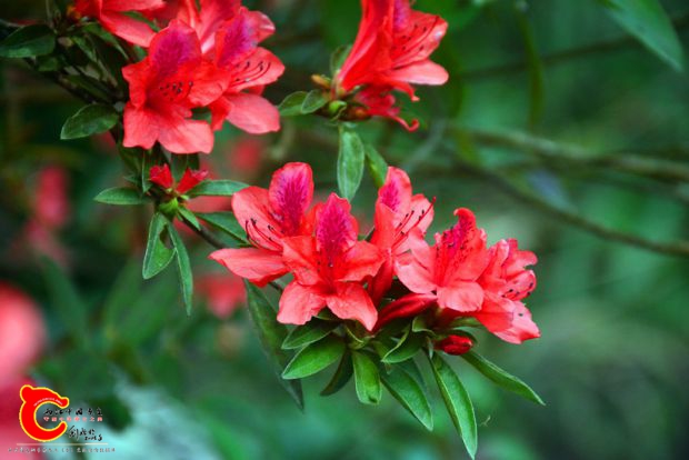 DSC_3923.JPG
