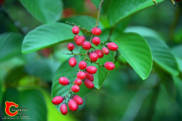 DSC_3932.JPG