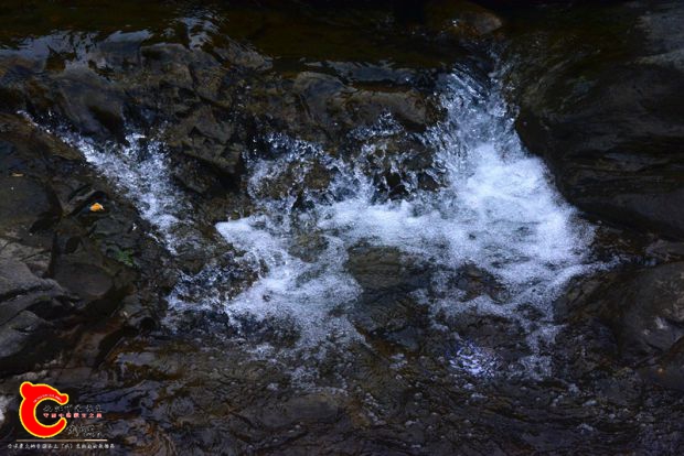 DSC_3936.JPG