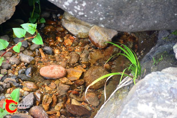 DSC_3943.JPG
