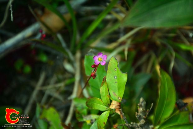 DSC_3944.JPG