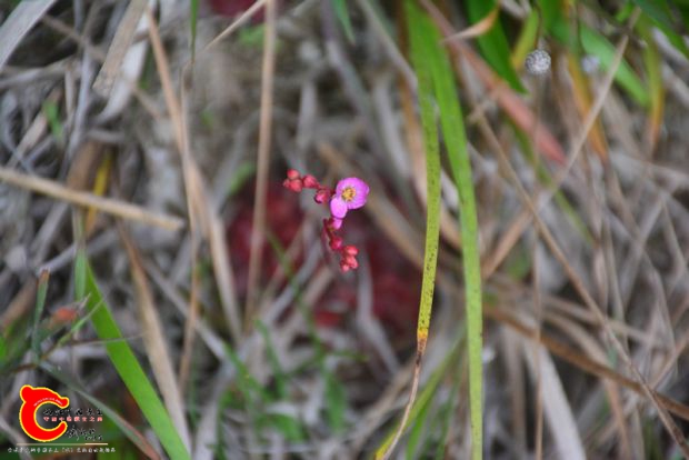 DSC_3945.JPG