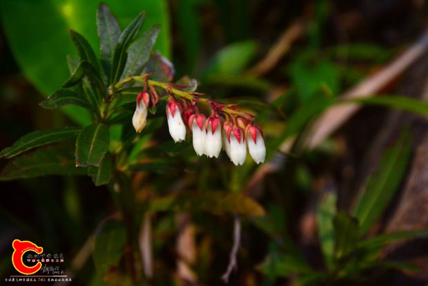 DSC_3946.JPG
