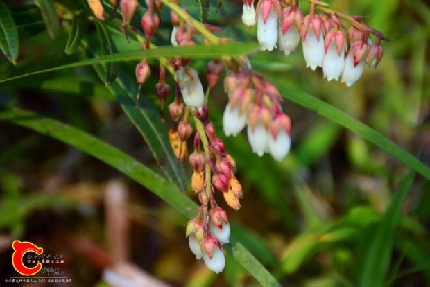 DSC_3949.JPG