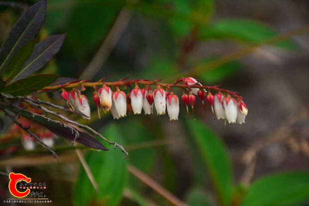 DSC_3953.JPG