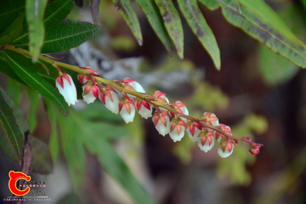 DSC_3954.JPG