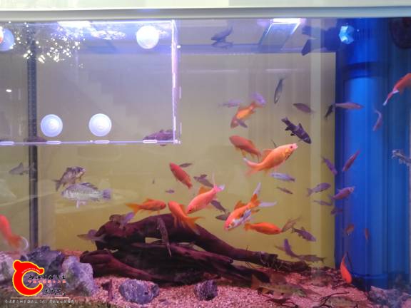 210508yzfvtppgc97gbqq8.jpg