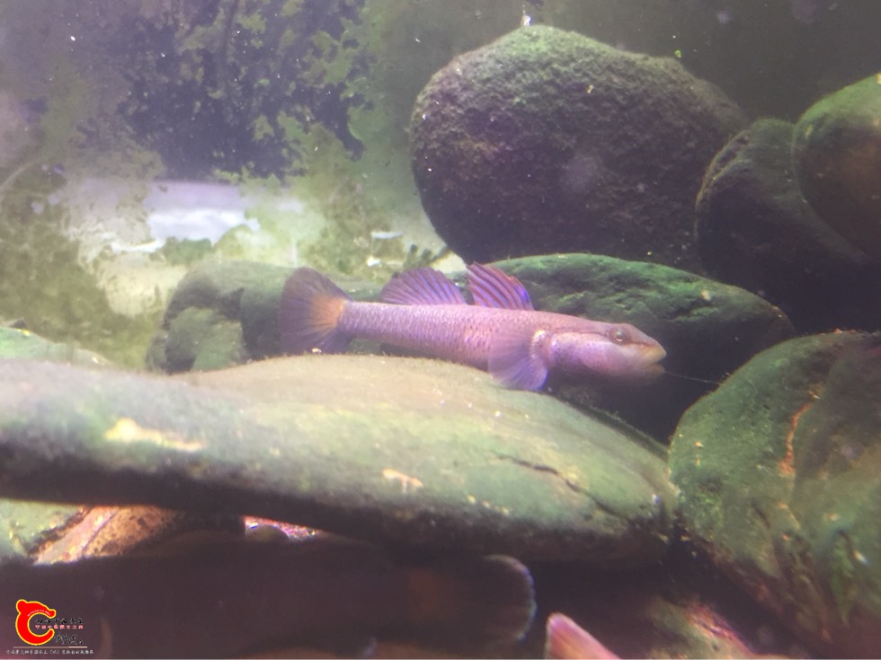 020005zeim3c9c5lp6zsl5.jpg