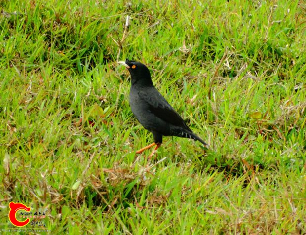 DSC00059_副本.jpg