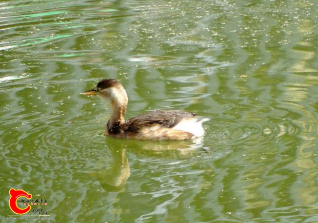 DSC05200.JPG
