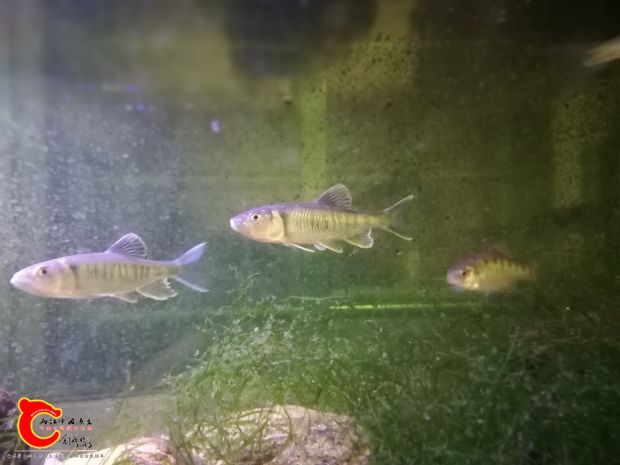 IMG_20180407_204837.jpg