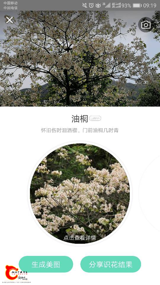 093947caw9gwtd3x2cgw92.png