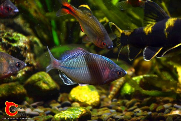 DSC_3963.JPG