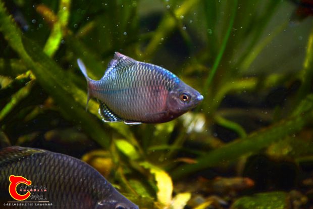 DSC_3964.JPG