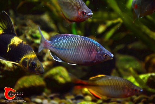 DSC_3966.JPG