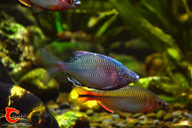 DSC_3967.JPG