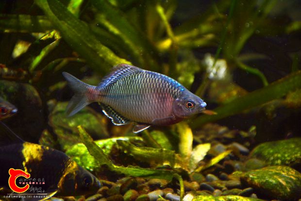DSC_3968.JPG