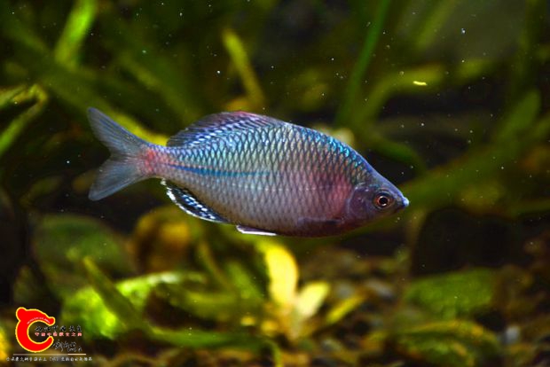 DSC_3970.JPG