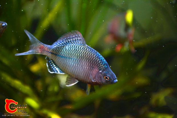 DSC_3976.JPG