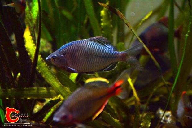 DSC_3987.JPG