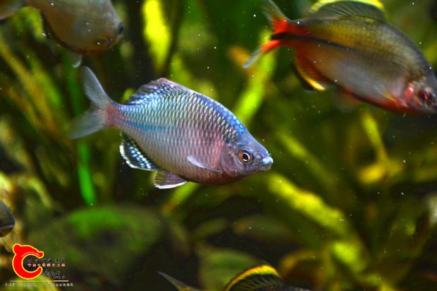 DSC_3990.JPG