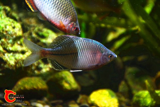 DSC_3991.JPG