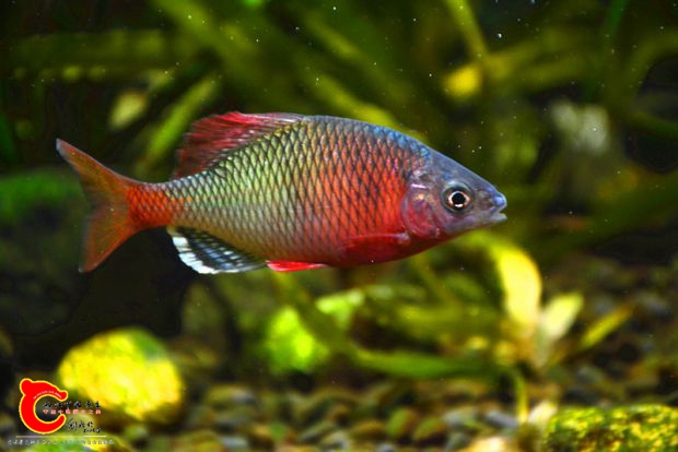 DSC_3996.JPG