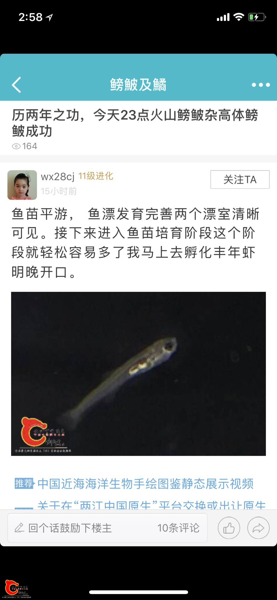 151032rahhbxajfcctcobw.jpg