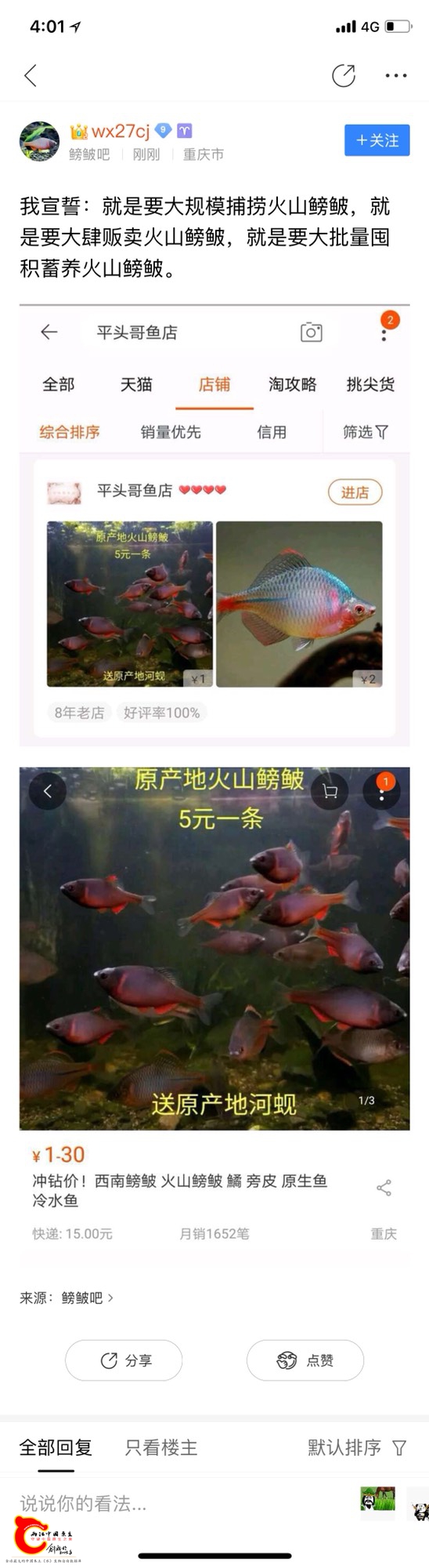 151034h1h0m3yyjppbhndn.jpg