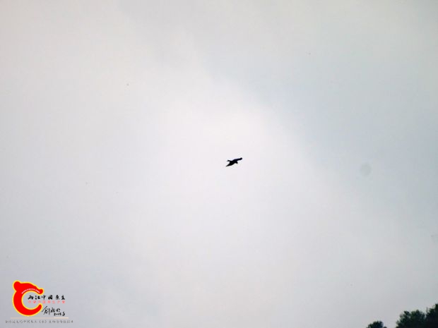 DSC00001_副本.jpg