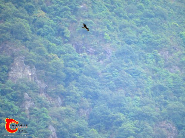 DSC00004_副本.jpg